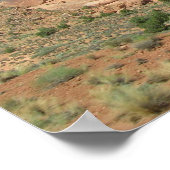 Broken Fin Poster (Hoek)