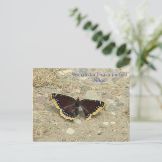 Broken Wing Potcard Briefkaart (Staand voorkant)