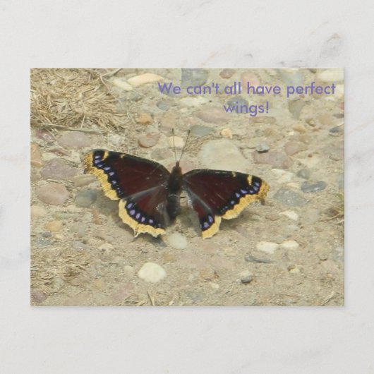 Broken Wing Potcard Briefkaart (Voorkant)