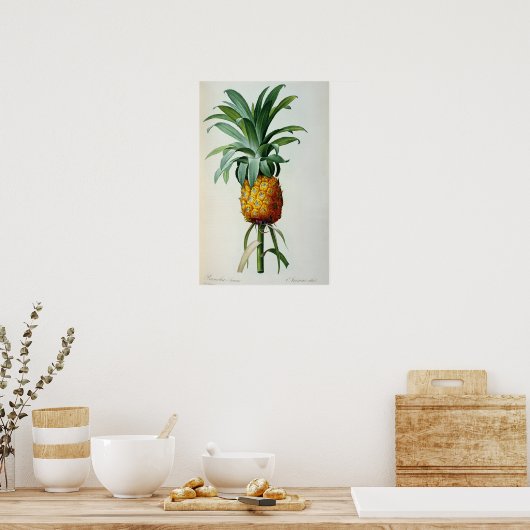 Bromelia Ananas uit "Les Bromeliacees" Poster (Keuken)