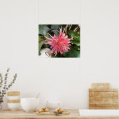 Bromelia Bloem Poster (Keuken)