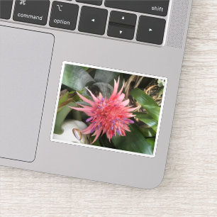 Bromelia Bloem Sticker