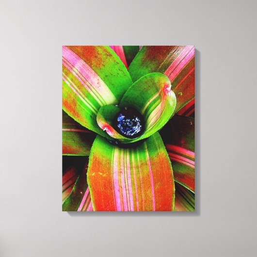 Bromelia Canvas Afdruk (Voorkant)