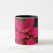 Bromelia in bloei mok (Midden)