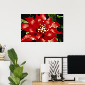 Bromeliabloemen Poster (Thuiskantoor)