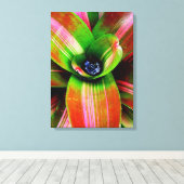 Bromeliad Canvas Afdruk (Insitu (Houten vloer))