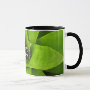 Bromeliad Green Botanische fotografie Mok