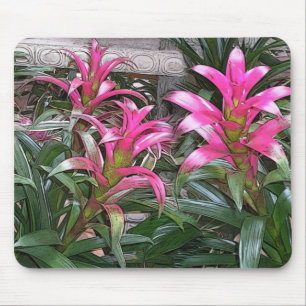 Bromeliad Mouspad Muismat