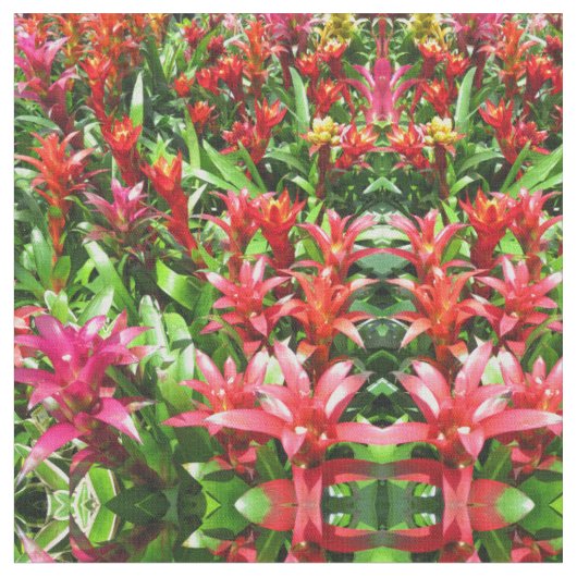Bromeliades Stof (Close Up)
