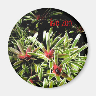 Bromelia's Live Zen Magnet Magneet