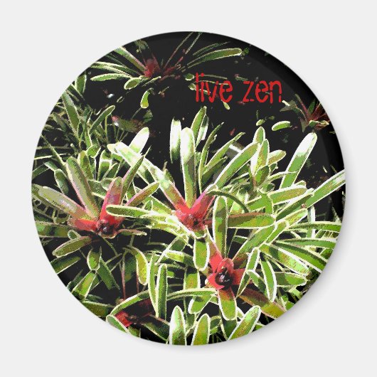 Bromelia's Live Zen Magnet Magneet (Voorkant)