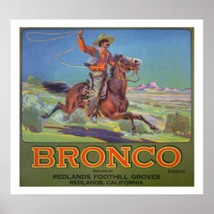 "Bronco Sinaasappels, c.1900 (kleurenlitho) Poster