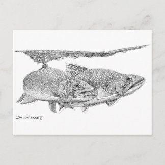 Bronforel Briefkaart