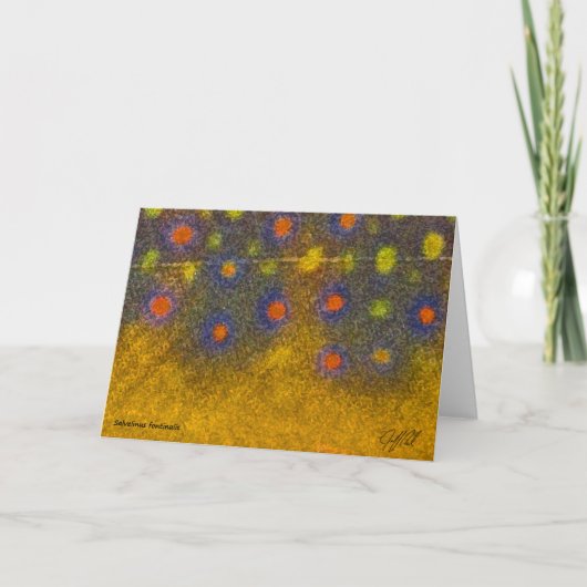 Bronforel - Kaart (Voorkant)