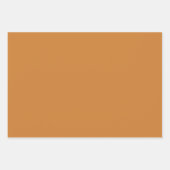 Brons Metaal Stevige Kleur | Klassiek | Elegant Inpakpapier Vel (Voorkant 2)