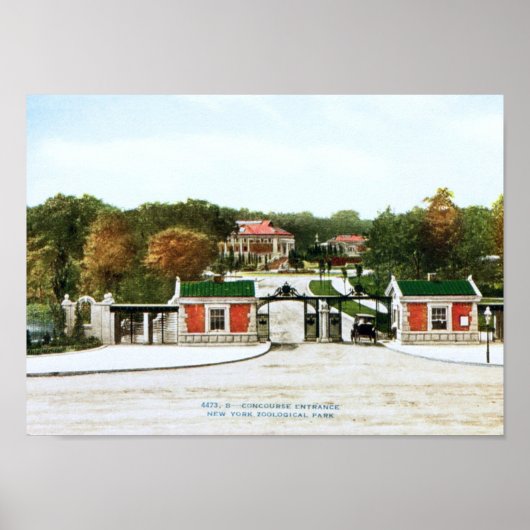 Bronx Zoo, New York City  Poster (Voorkant)