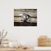 Bronze Beauty Poster (Keuken)