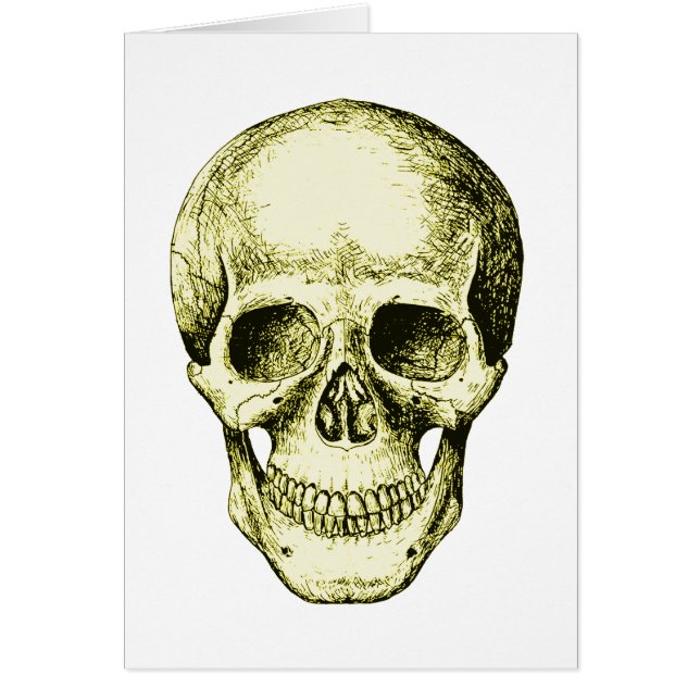 Bronze Human Skull face (Voorkant)