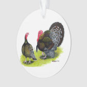 Bronze large de Turquie (devant)