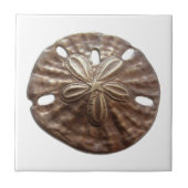 Bronze Sand Dollar Tegeltje (Voorkant)