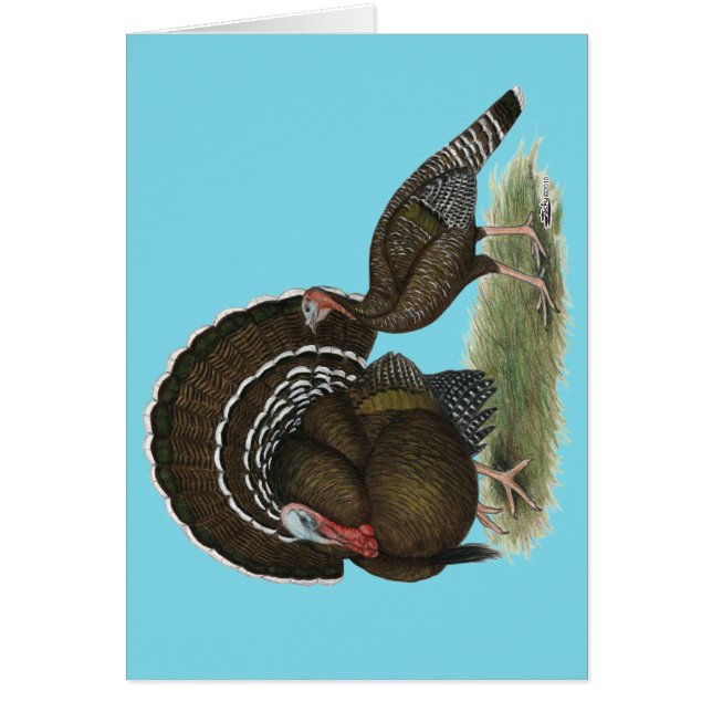 Bronze standard de Turkey (Devant)