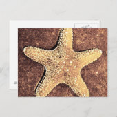 Bronze Starfish Post Card Briefkaart (Voorkant / Achterkant)