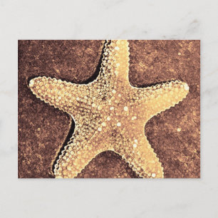 Bronze Starfish Post Card Briefkaart