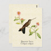 Bronzy Inca Hummingbird  Art Briefkaart (Voorkant / Achterkant)