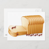 Brood en mieren briefkaart (Voorkant / Achterkant)