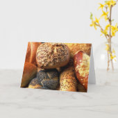 Brood verliest lege kaart (Gele Bloem)