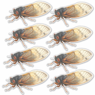 Brood X Périodical Stickers du Canada : 8 par feu