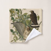 Broodwinged Hawk van de Amerikaanse vogels van Aud Bad Handdoek (Wasdoekje)