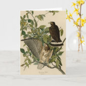 Broodwinged Hawk van de Amerikaanse vogels van Aud Kaart (Gele Bloem)