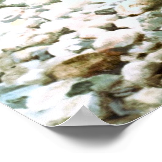 Brook-forel afdrukken poster (Hoek)