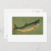 brook forel Art van Louis Agassiz Fuertes Briefkaart (Voorkant / Achterkant)