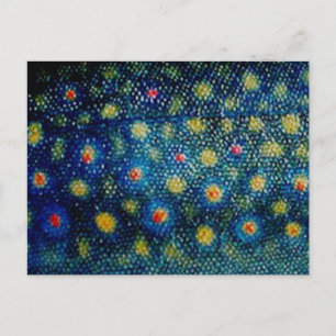 Brook forel door PatternWear© Briefkaart