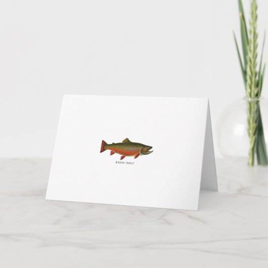 Brook forel mannetje (Spawning Phase) Kaart (Voorkant)