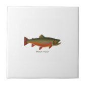 Brook forel mannetje (Spawning Phase) Tegeltje (Voorkant)