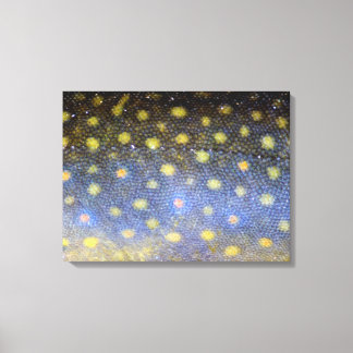 Brook forel schalen fotografie canvas afdruk