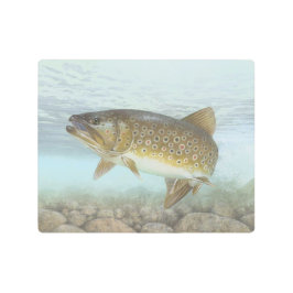 Brook forel schilderen