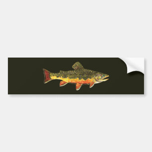 Brook forel visschilderen bumpersticker