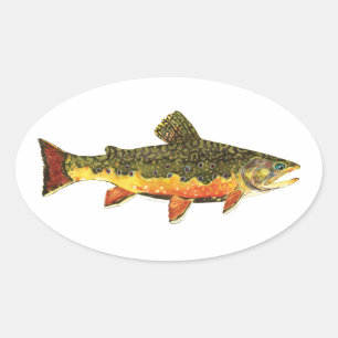Brook forel visschilderen ovale sticker
