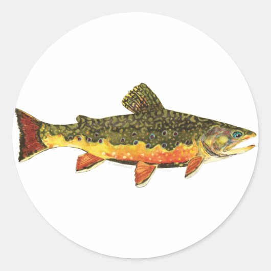 Brook forel visschilderen ronde sticker (Voorkant)