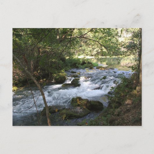 Brook in Alley Springs, Missouri Briefkaart (Voorkant)