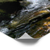 Brook live poster zen (Coin)