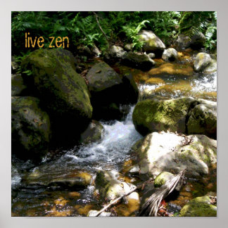 Brook live poster zen