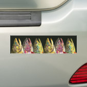 Brook, regenboog, bruine forel Vist Bumpersticker (Op auto)