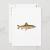 Brook Trout Art Briefkaart (Voorkant / Achterkant)