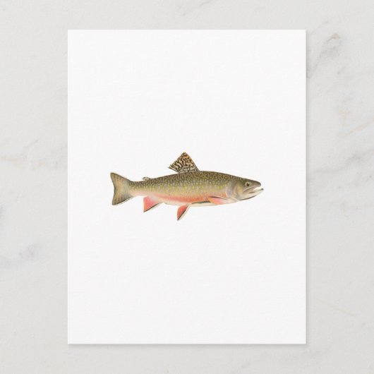 Brook Trout Art Briefkaart (Voorkant)