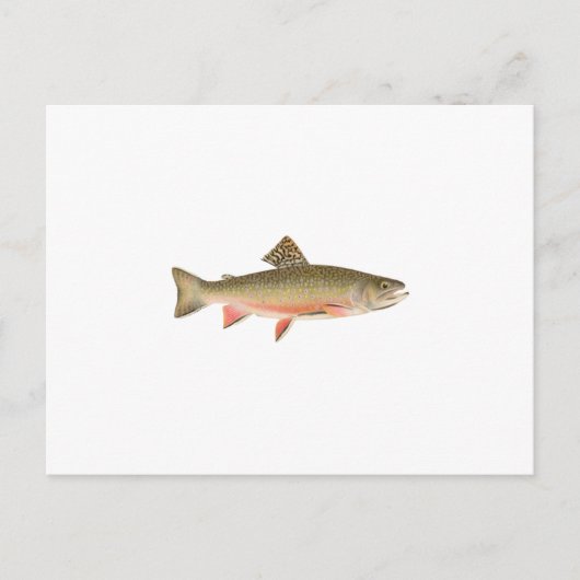Brook Trout Art Briefkaart (Voorkant)